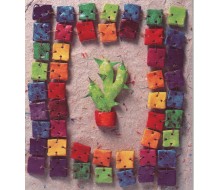 Kaartje kleurrijke cactus