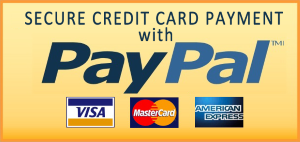 Secure Credit Card Payment with PayPal